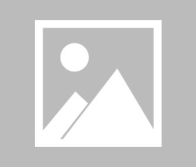 j9九游会官方 - 德约科维奇迎来五赛季高光表现，老鹰球迷沸腾！